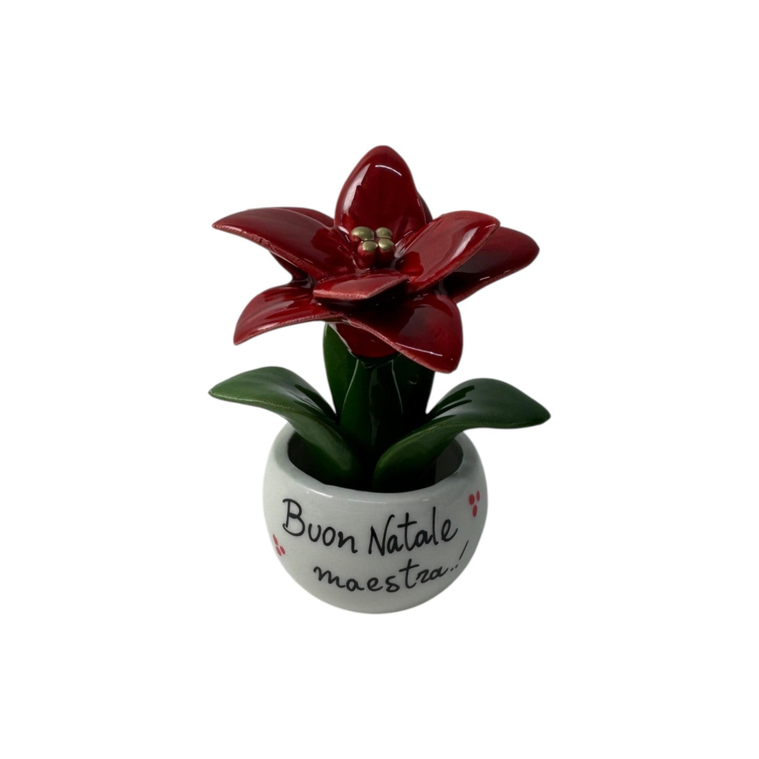 Piantina Stella di Natale Personalizzata - Siniscalchi Ceramics