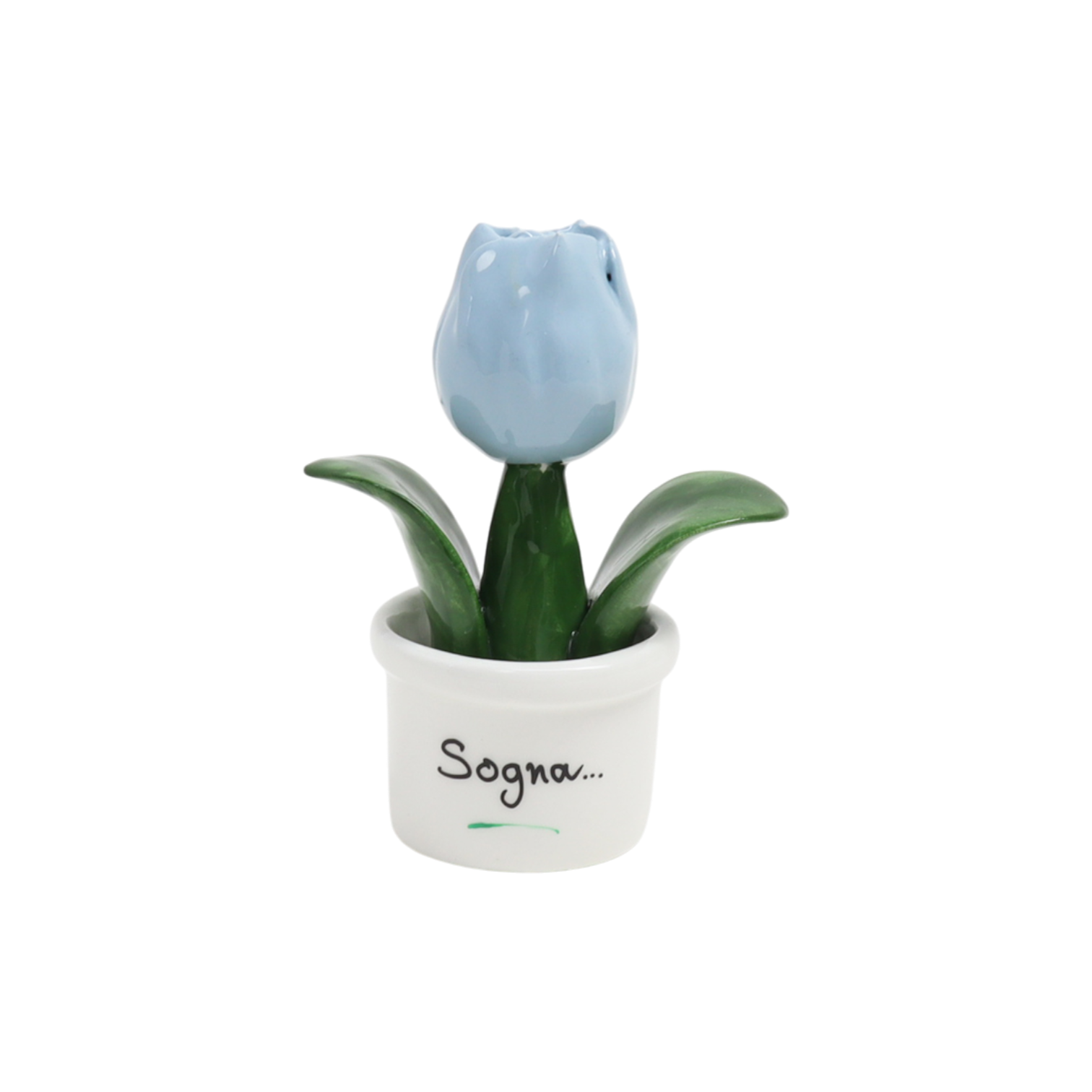 Piantina Tulipano