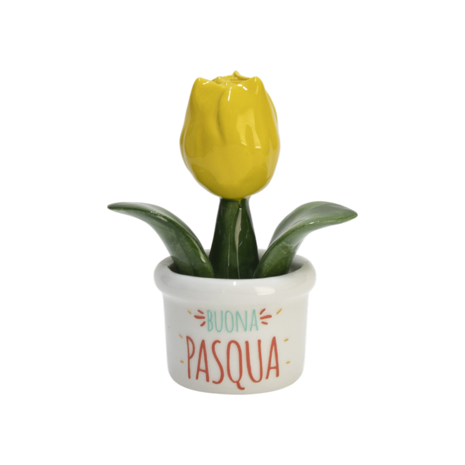 Piantina Tulipano Buona Pasqua